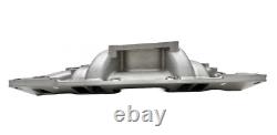 1996-2002 SB Chevy Intake Manifold Dual Plane Small Block V8 350 Vortec L31