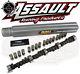 Assault Small Block Chevy Camshaft and Solid Lifters Kit 286/296 IMCA Stock Car