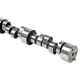 COMP Cams 12-770-8 Xtreme Energy Mechanical Roller Camshaft Small Block Chevy 19