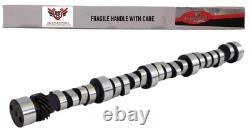 Chevy Sbc 305 5.0 350 5.7 Small Block Enginetech Roller Camshaft 1996 2002