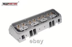 Deepmotor SBC 350 Cylinder Head Bare Straight Plug for Small Block Chevy Aluminu