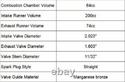 Deepmotor SBC 350 Cylinder Head Bare Straight Plug for Small Block Chevy Aluminu