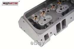 Deepmotor SBC 350 Cylinder Head Bare Straight Plug for Small Block Chevy Aluminu
