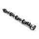 Elgin ELGE-1090-P Mechanical Flat Tappet Camshaft fits Small Block Chevy