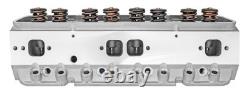 JEGS Small Block Chevy Aluminum Cylinder Head for use withHydraulic Flat Tappet