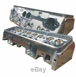 ProMaxx CNC Ported SBC 225cc Small Block Chevy Cylinder Heads. 660 Lift Roller