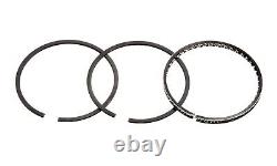 SBC Chevy 350 Small Block 5.7L Re-Ring Kit 1967-1979 Rings Bearings Gaskets