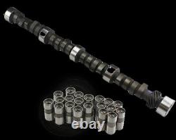 Small Block Chevy 305 V8 Hydraulic Flat Tappet 260/110LSA Camshaft+ Lifters