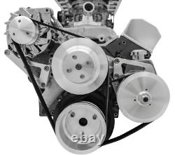 Small Block Chevy Serpentine Kit SBC NEW 350 PS ALT POWDER COAT Deluxe Billet