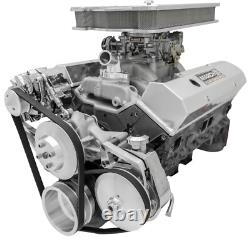Small Block Chevy Serpentine Kit SBC NEW 350 PS ALT POWDER COAT Deluxe Billet