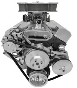 Small Block Chevy Serpentine Kit SBC NEW 350 PS ALT POWDER COAT Deluxe Billet