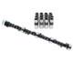 Solid Lifter Tight Lash Cam & Lifters 3000-7000, fits Small Block Chevy