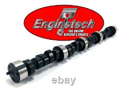 Stage 2 RV HP Hyd Camshaft & Lifters for Chevrolet Small Block. 450/. 461 Lift