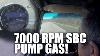The 7000 RPM Sbc V8 S10 Is Back 1975 Small Block Chevy 355