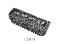 World Products 042660 Small Block Chevy S/R Torquer Cast Iron Cylinder Head